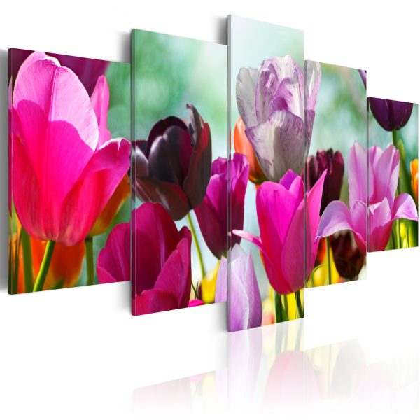 Obraz – Louka růžových tulipánů Obraz – Louka růžových tulipánů