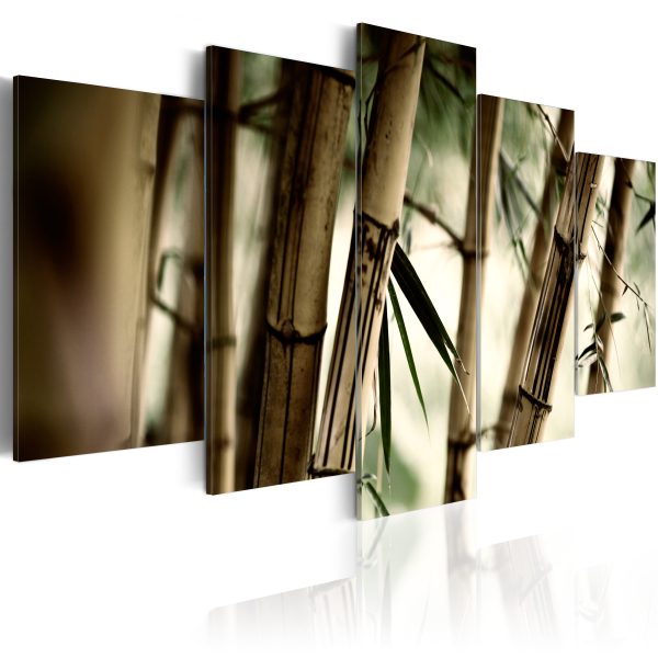 Obraz – Bambusová inspirace Obraz – Bambusová inspirace
