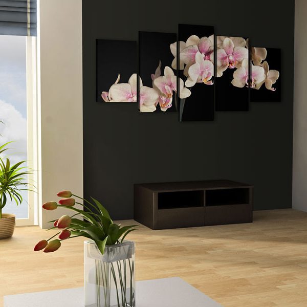 Obraz – Orchidea – kontrast barev Obraz – Orchidea – kontrast barev