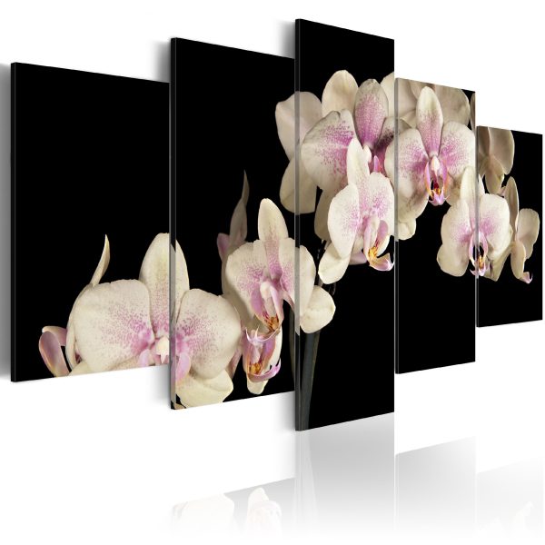 Obraz – orchidea (vintage) Obraz – orchidea (vintage)