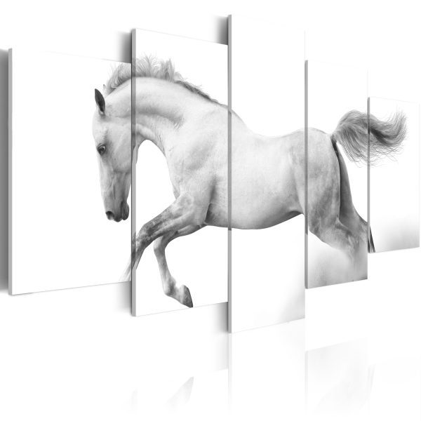Obraz – Kůň – svoboda a síla Obraz – Kůň – svoboda a síla