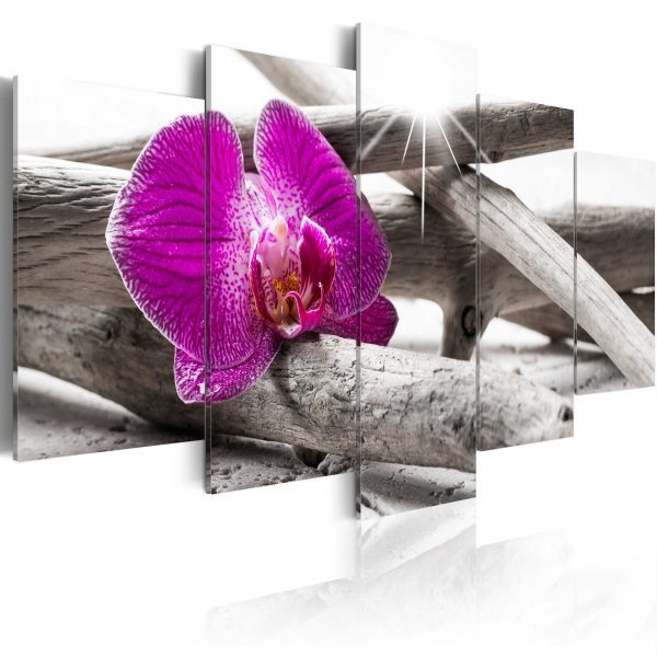 Obraz – Orchid and zen garden in grey Obraz – Orchid and zen garden in grey