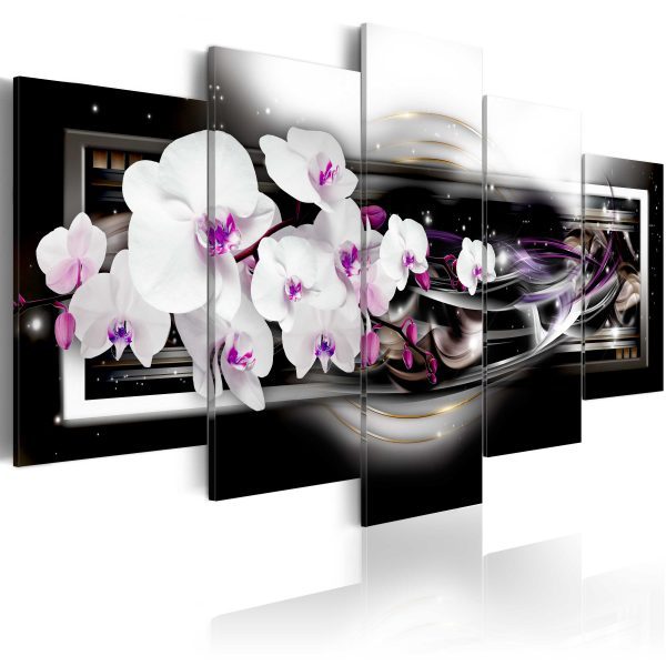 Obraz – Orchids more beautiful than ever Obraz – Orchids more beautiful than ever