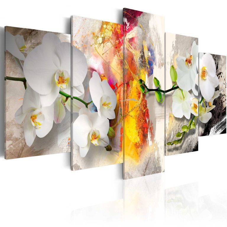 Obraz – Orchid And Colors Obraz – Orchid And Colors