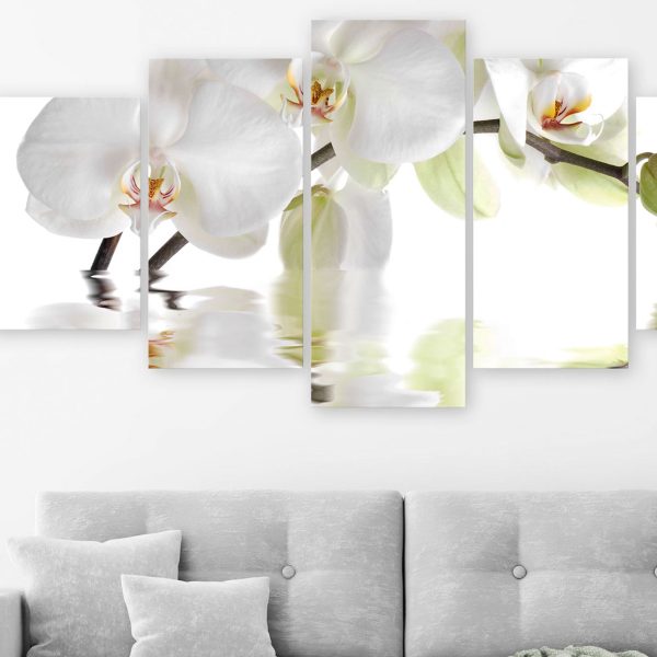 Obraz – Wonderful Orchid (5 Parts) Wide Obraz – Wonderful Orchid (5 Parts) Wide