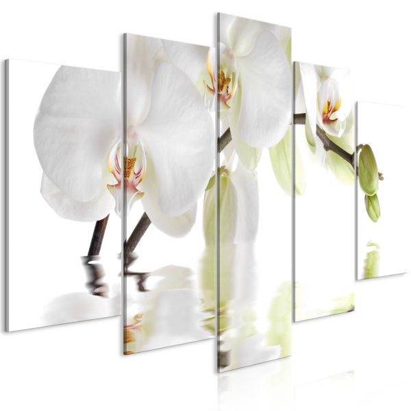 Obraz – Wonderful Orchid (3 Parts) Obraz – Wonderful Orchid (3 Parts)