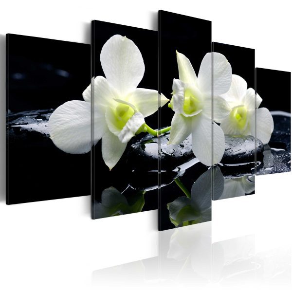 Obraz – Melancholic orchids Obraz – Melancholic orchids