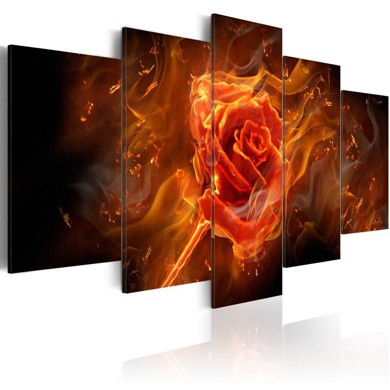 Obraz – Flaming Rose Obraz – Flaming Rose