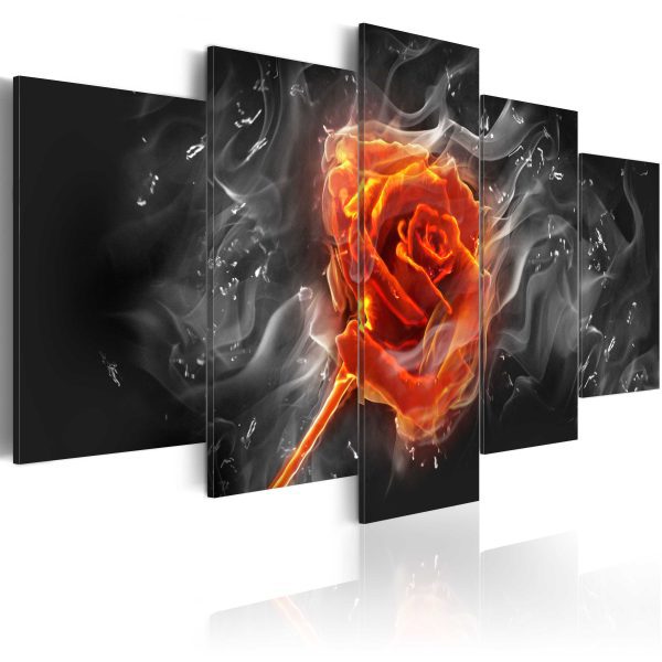 Obraz – Fiery Rose Obraz – Fiery Rose