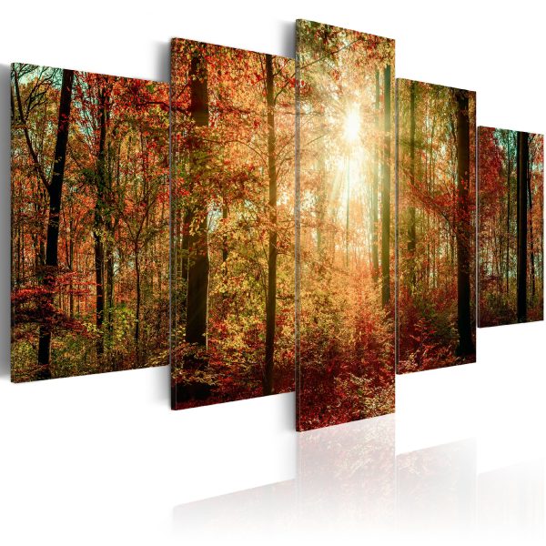 Obraz – Autumn Wilderness Obraz – Autumn Wilderness