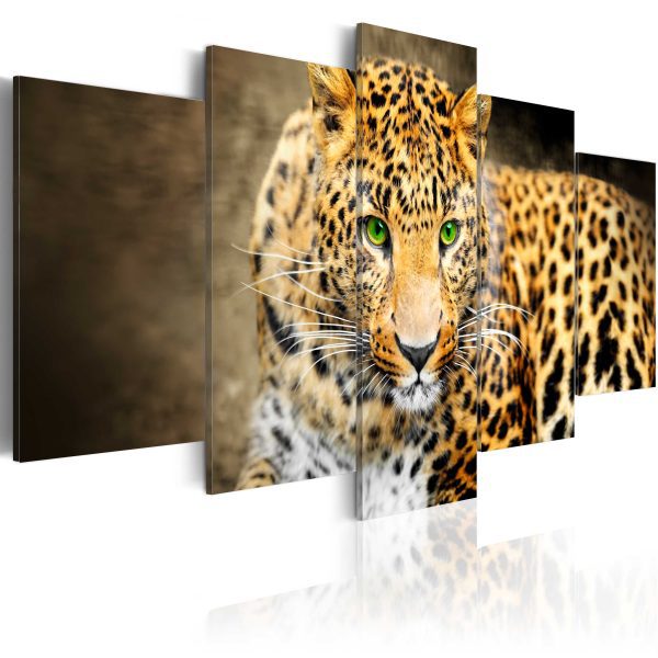 Obraz – Green-eyed leopard Obraz – Green-eyed leopard