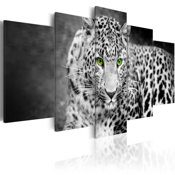Obraz – Leopard Lying (5 Parts) Wide Green Obraz – Leopard Lying (5 Parts) Wide Green