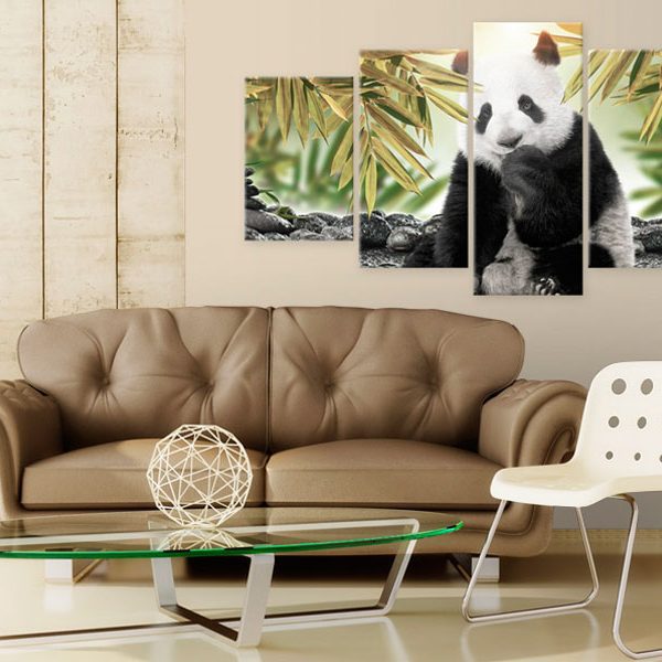 Obraz – Cute Panda Bear Obraz – Cute Panda Bear