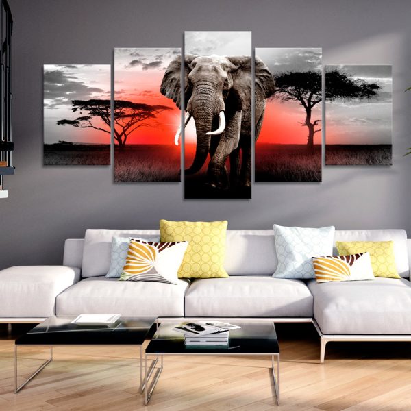 Obraz – Lonely Elephant Obraz – Lonely Elephant