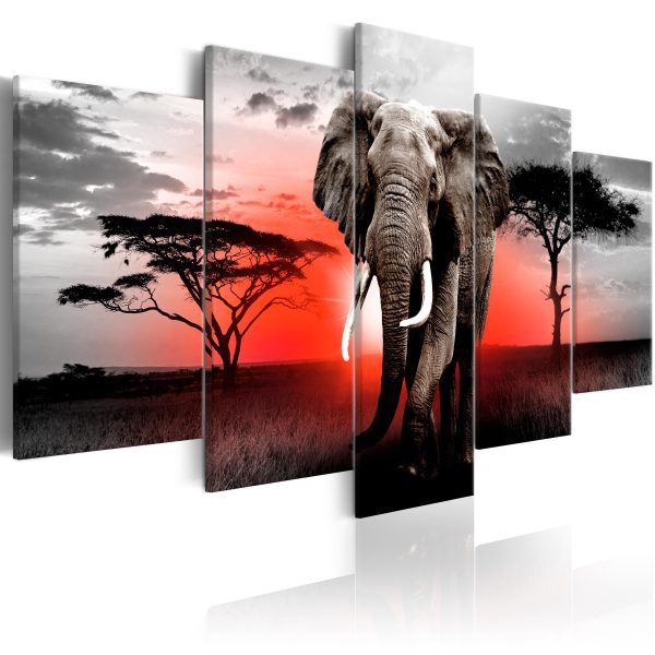 Obraz – Lonely Elephant Obraz – Lonely Elephant