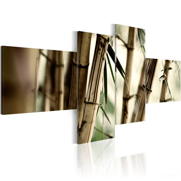 Obraz – Bambusový les Obraz – Bambusový les