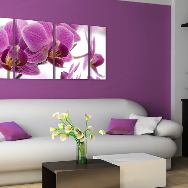 Obraz – Marvelous orchid Obraz – Marvelous orchid
