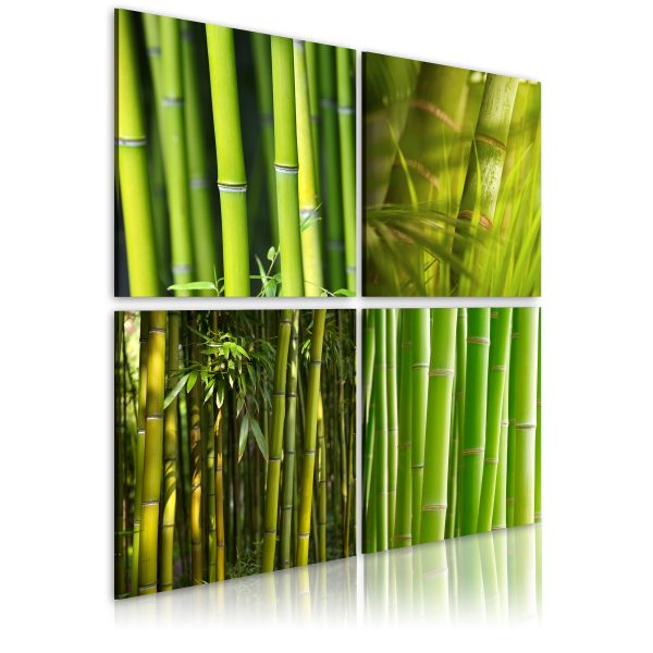 Obraz – Bambus a orchidea Obraz – Bambus a orchidea