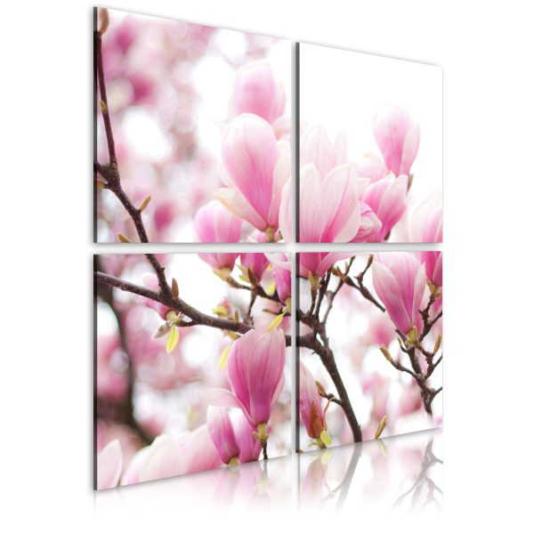 Obraz – Blooming magnolia tree Obraz – Blooming magnolia tree