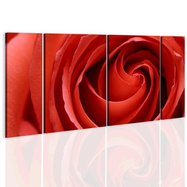 Obraz – Passionate rose Obraz – Passionate rose
