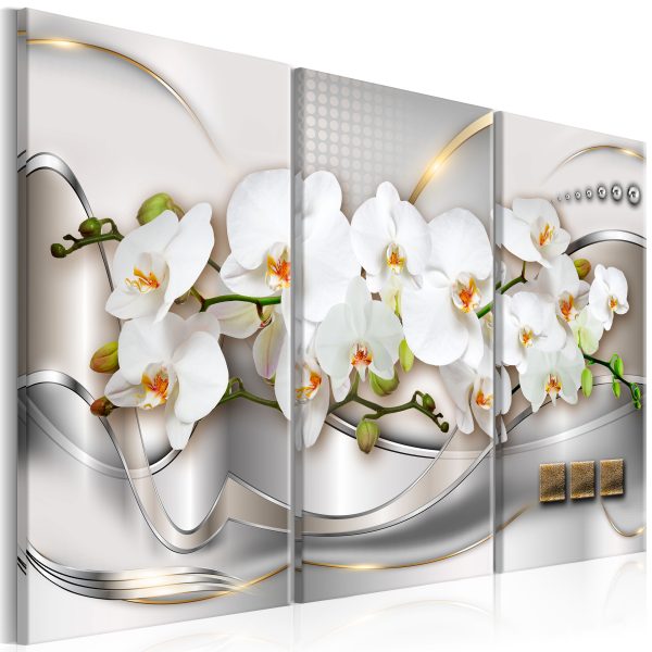Obraz – Blooming Orchids Obraz – Blooming Orchids