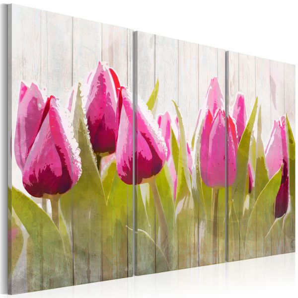 Obraz – Spring bouquet of tulips Obraz – Spring bouquet of tulips