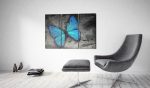 Obraz – The study of butterfly – triptych Obraz – The study of butterfly – triptych