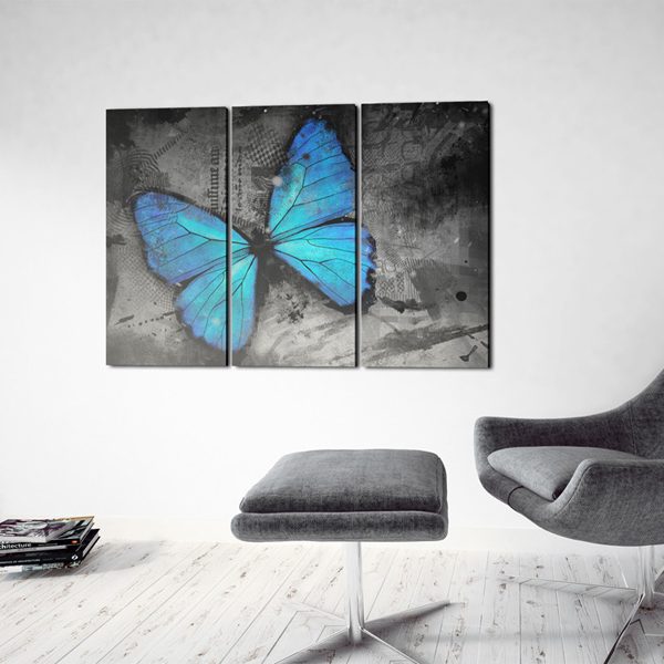 Obraz – The study of butterfly – triptych Obraz – The study of butterfly – triptych