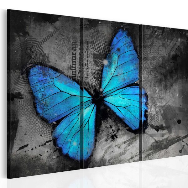 Obraz – The study of butterfly Obraz – The study of butterfly