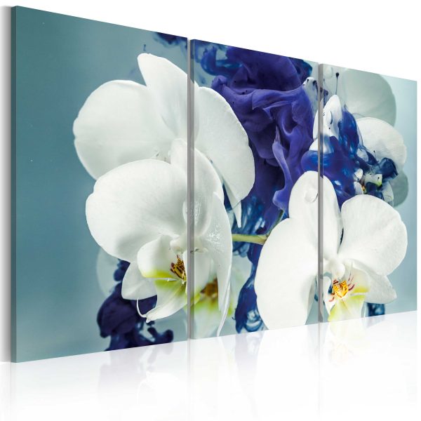 Obraz – Chimerical orchids Obraz – Chimerical orchids