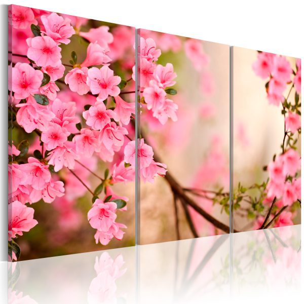 Obraz – Růžové třešňové květy Obraz – Růžové třešňové květy
