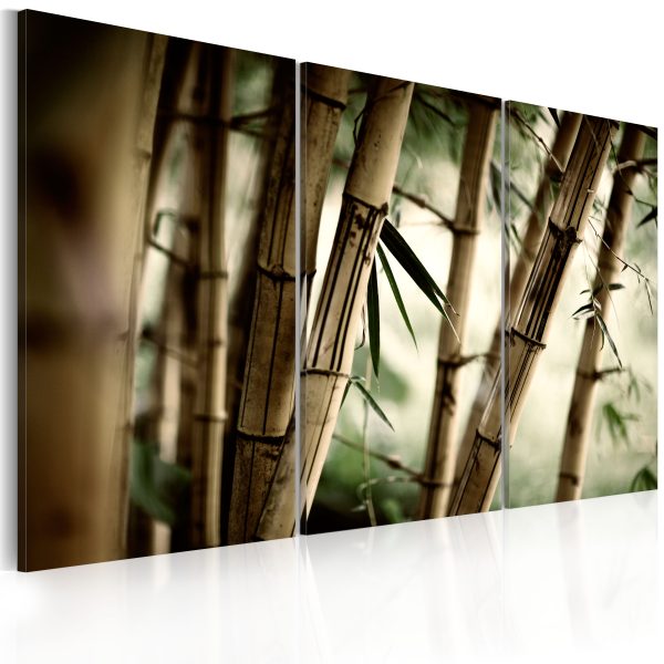 Obraz – Bambusová inspirace Obraz – Bambusová inspirace