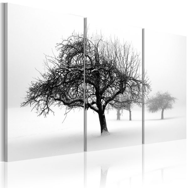 Obraz – Zasněžené stromy Obraz – Zasněžené stromy