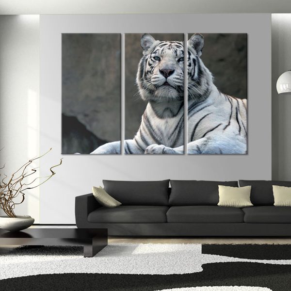 Obraz – Bílý tygr Obraz – Bílý tygr