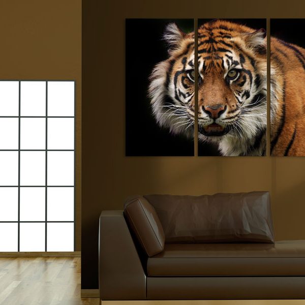 Obraz – Divoký tygr Obraz – Divoký tygr
