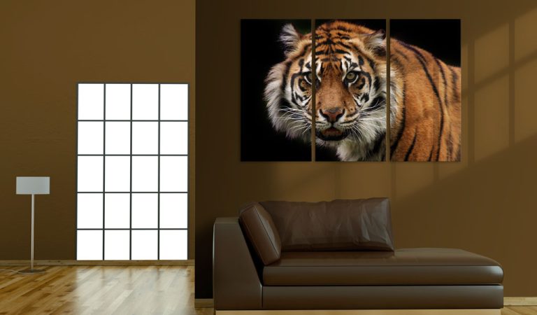 Obraz – Divoký tygr Obraz – Divoký tygr