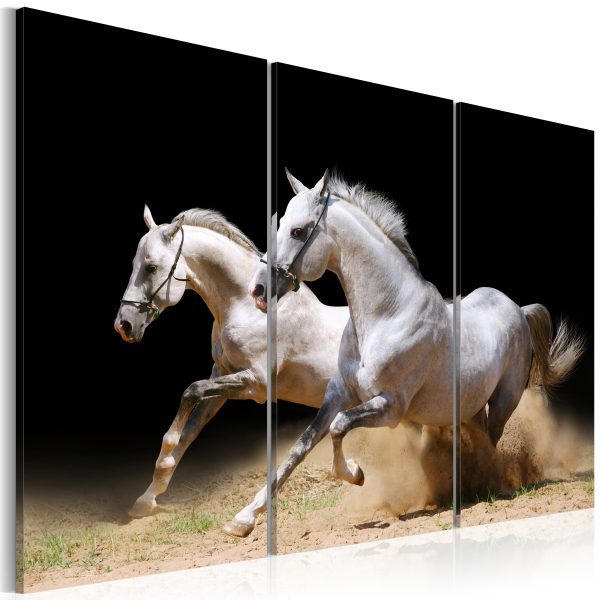 Obraz – Koně: síla a rychlost Obraz – Koně: síla a rychlost