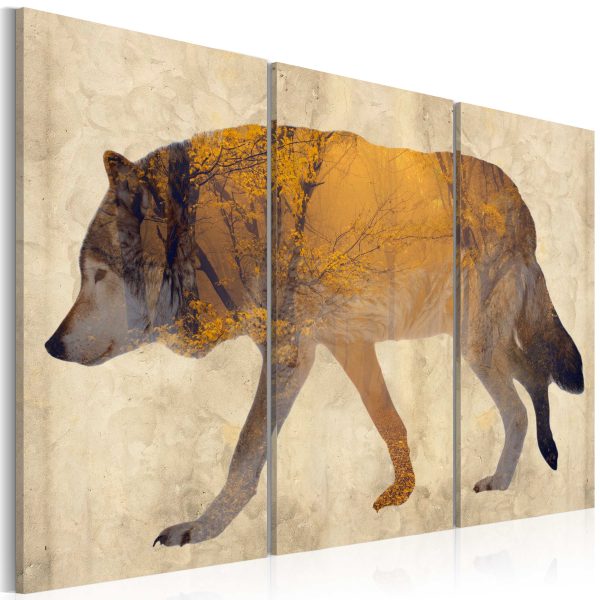 Obraz – The Wandering Wolf Obraz – The Wandering Wolf