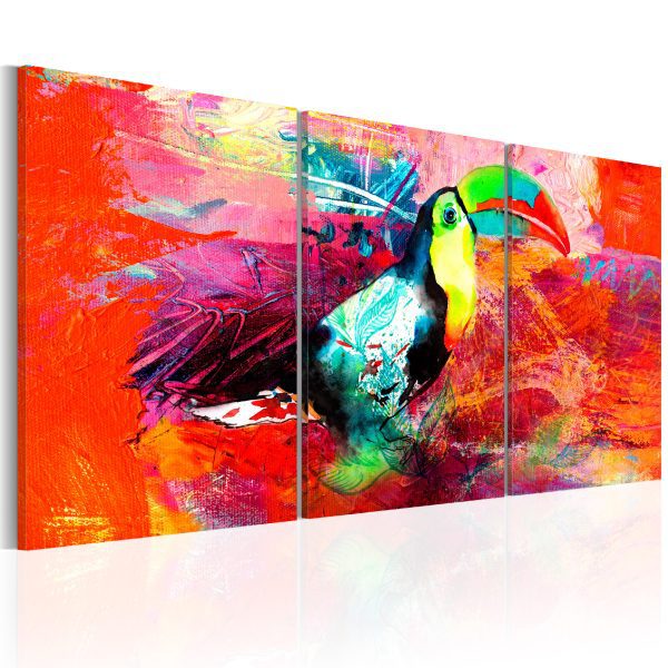 Obraz – Colourful Toucan Obraz – Colourful Toucan