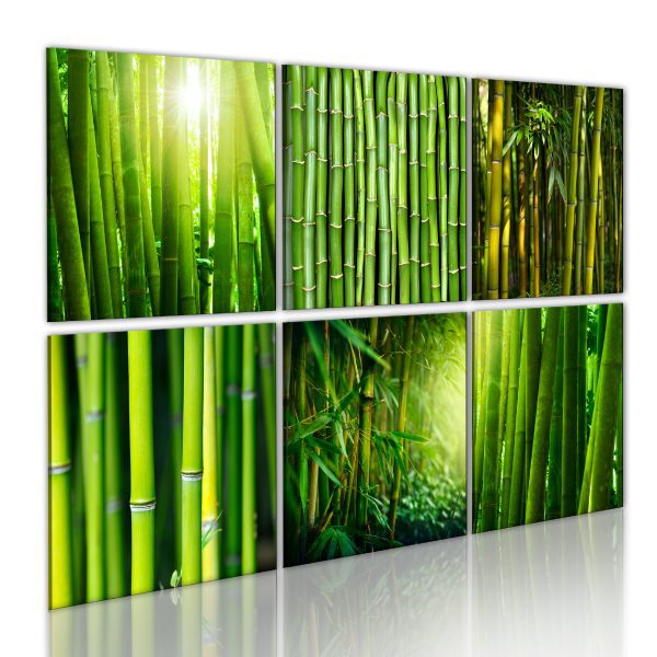 Obraz – Mnoho tváří bambusu Obraz – Mnoho tváří bambusu