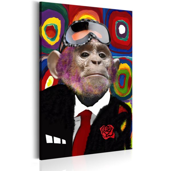 Obraz – Mr Monkey Obraz – Mr Monkey