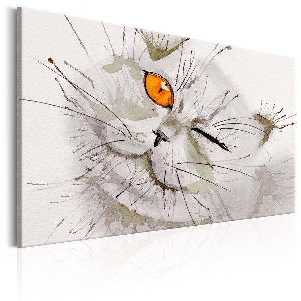 Obraz – Grey Cat Obraz – Grey Cat