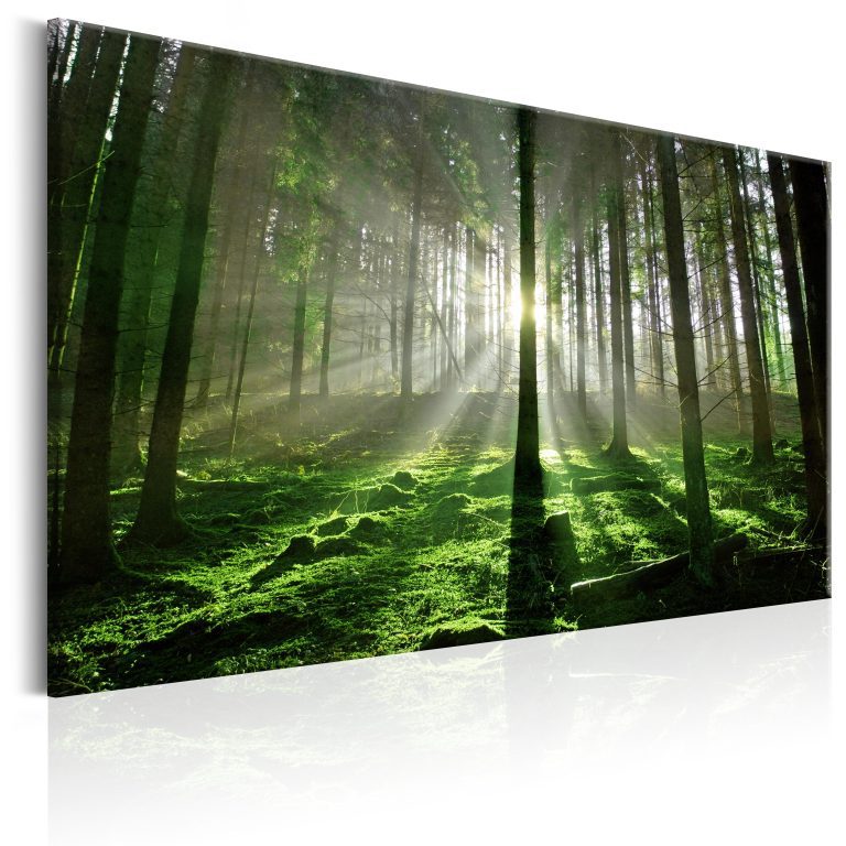 Obraz – Emerald Forest II Obraz – Emerald Forest II