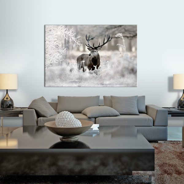 Obraz – Lonely Deer Obraz – Lonely Deer