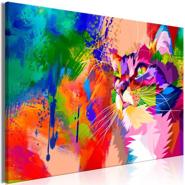 Obraz – Colourful Cat (1 Part) Wide Obraz – Colourful Cat (1 Part) Wide
