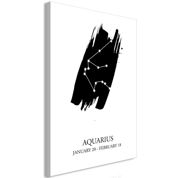 Obraz – Zodiac Signs: Aquarius (1 Part) Vertical Obraz – Zodiac Signs: Aquarius (1 Part) Vertical
