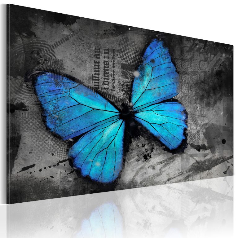 Obraz – The study of butterfly Obraz – The study of butterfly