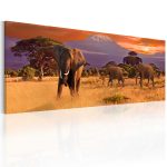 Obraz – March of african elephants Obraz – March of african elephants