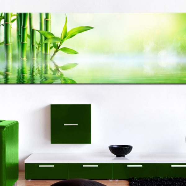 Obraz – Green Bamboo Obraz – Green Bamboo