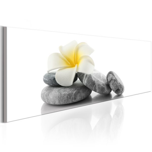 Obraz – White lilies on wood Obraz – White lilies on wood